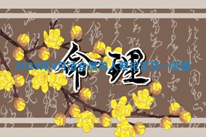 2026年01月24日麻将财神方向