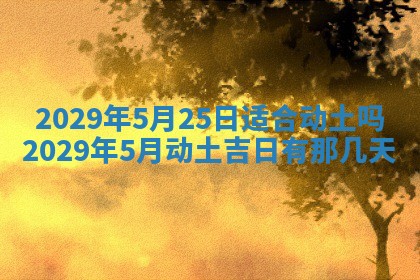 2026年01月24日麻将财神方向