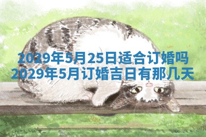 2026年01月24日麻将财神方向