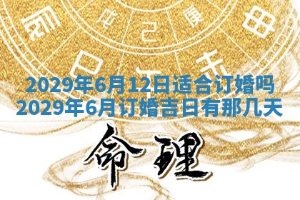 今天是否适合办理结婚证,领证2025年6月29日黄历分析