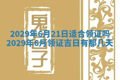 今天是否适合办理结婚证,领证2025年6月29日黄历分析