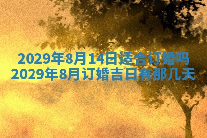 2026年01月24日麻将财神方向