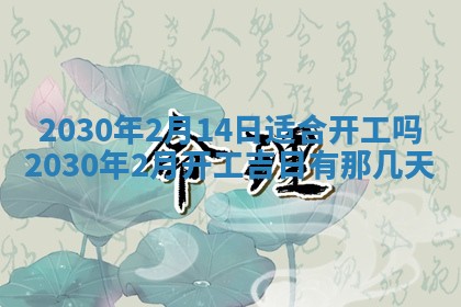2026年02月19日出生徐姓男宝宝八字五行取名禁忌与建议