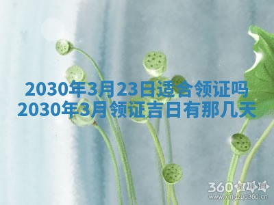 2026年02月19日出生徐姓男宝宝八字五行取名禁忌与建议