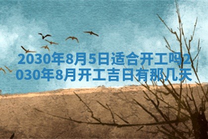 2026年02月19日出生徐姓男宝宝八字五行取名禁忌与建议