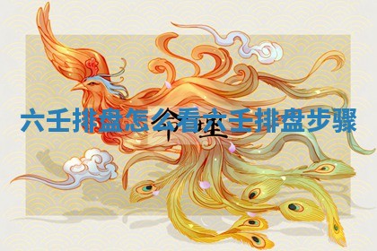 六壬排盘怎么看_六壬排盘步骤
