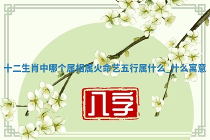 2026年01月08日打牌打麻将财神方向