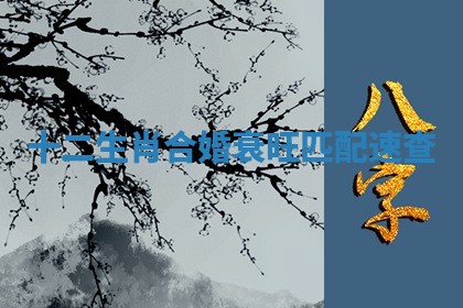 今日2025年7月12日嫁娶老黄历适宜吗,农历2025年六月十八嫁娶日子