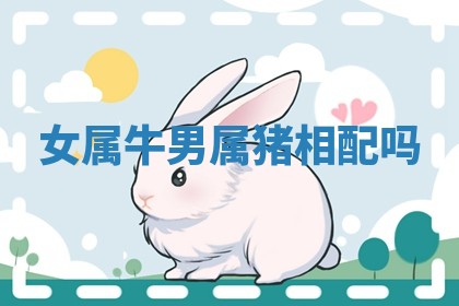 八字五行与田姓：2026年03月02日出生女宝宝的理想名字分析