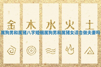 2026年01月08日打牌打麻将财神方向