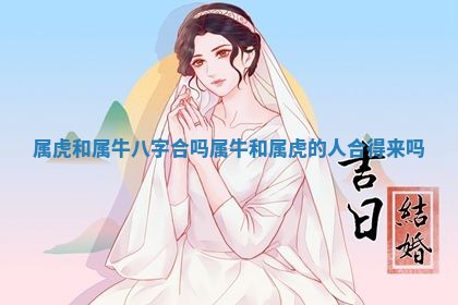 2026年01月08日打牌打麻将财神方向