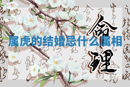 2026年01月08日打牌打麻将财神方向