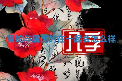 2026年01月08日打牌打麻将财神方向