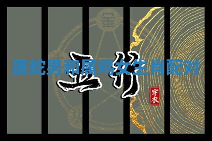 2026年01月08日打牌打麻将财神方向