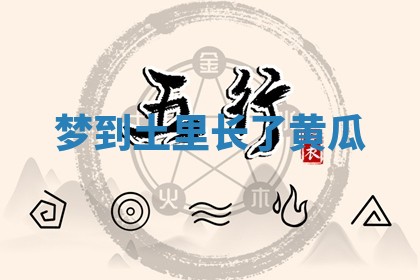 八字五行与田姓：2026年03月02日出生女宝宝的理想名字分析