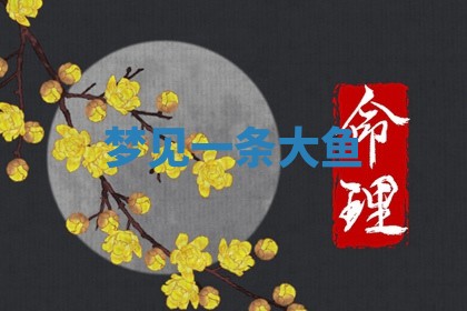 2026年01月10日今日打麻将财神方位,黄历财神方位查询