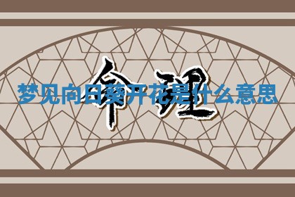 2026年01月08日打牌打麻将财神方向