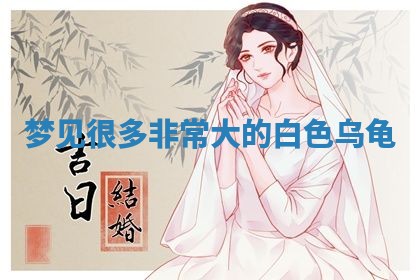2026年01月08日打牌打麻将财神方向