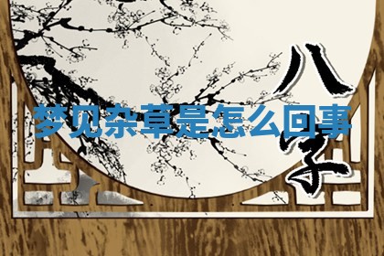 2026年01月08日打牌打麻将财神方向