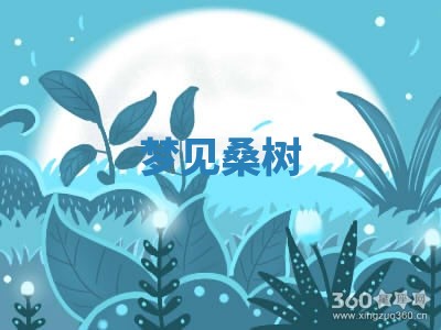 2026年01月08日打牌打麻将财神方向