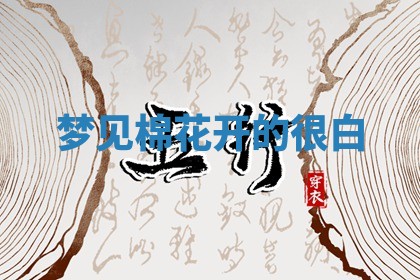 八字五行与田姓：2026年03月02日出生女宝宝的理想名字分析