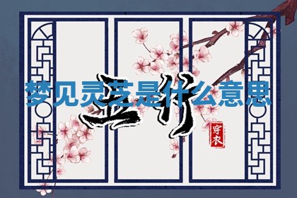 八字五行与田姓：2026年03月02日出生女宝宝的理想名字分析