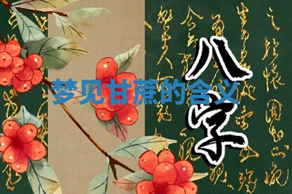 2026年01月08日打牌打麻将财神方向