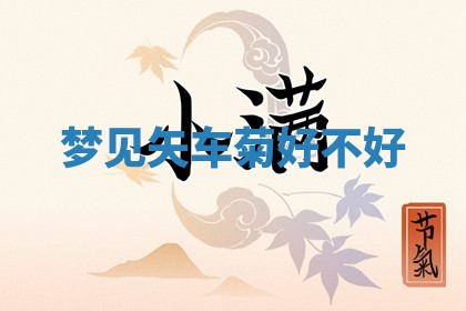 今日农历2025年六月初四黄历婚姻登记推荐吗,领证吉日