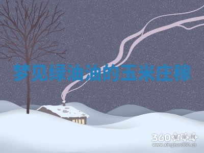 2026年01月08日打牌打麻将财神方向