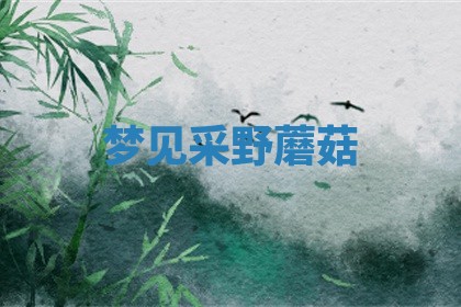 2026年01月08日打牌打麻将财神方向