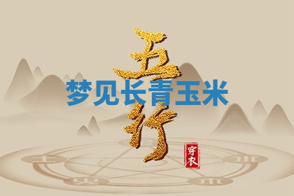 2026年01月08日打牌打麻将财神方向