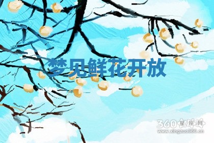 2026年01月08日打牌打麻将财神方向