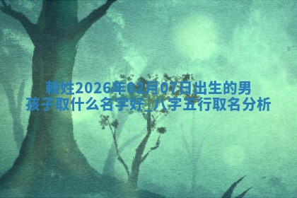 赖姓2026年02月07日出生的男孩子取什么名字好？八字五行取名分析