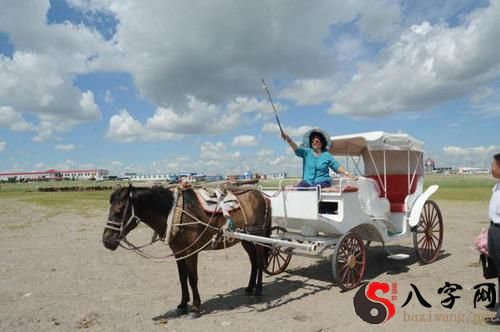 梦见坐在马车上