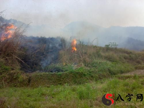 梦见放火烧草