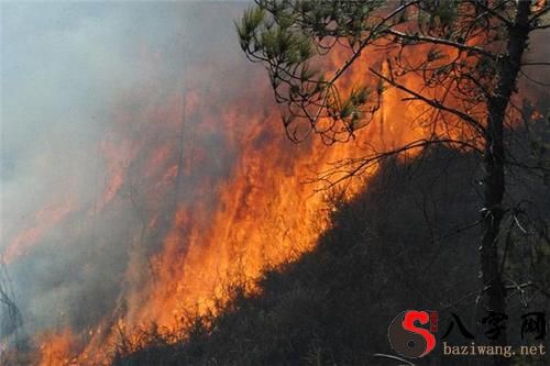梦见山上起火