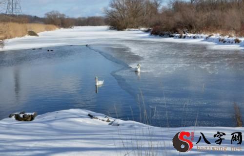 梦见河里有水有冰