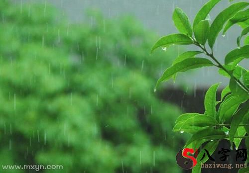 梦见外面有小雨