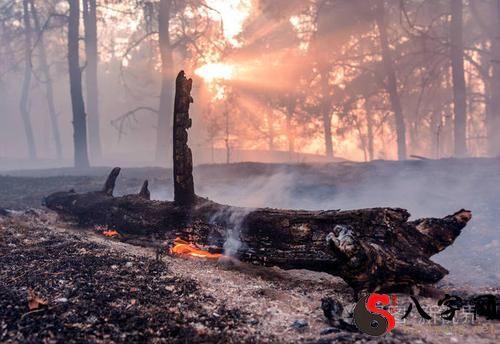 梦见柴火熊熊燃烧