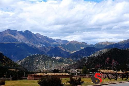 梦见从山上掉下来了