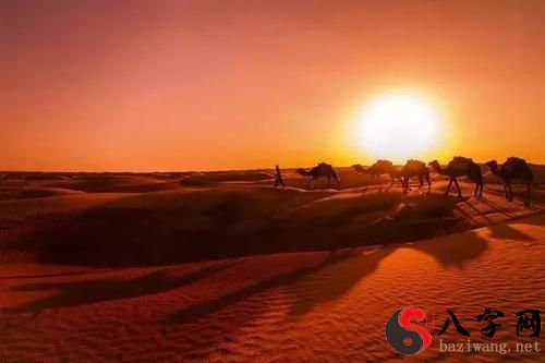 梦见大海变成沙漠